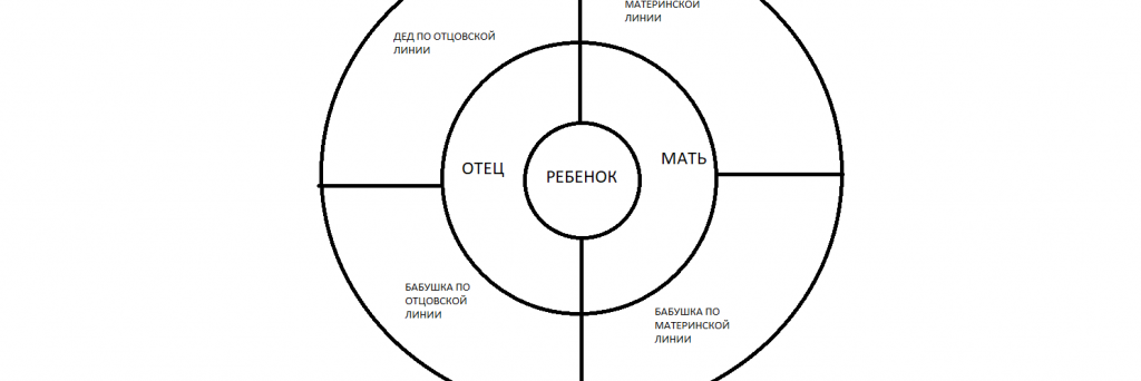 Круговая схема родового древа