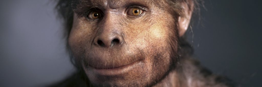 Человек прямоходящий homo Erectus